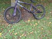 Kink BMX - nuotraukos Nr. 2