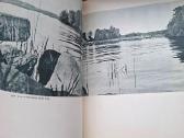 Knyga 1964m. Lietuva šiandien - nuotraukos Nr. 6