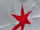 Oficialios Chikagos miesto ir valstybės vėliavos - nuotraukos Nr. 5