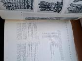Knyga 1974m. Lietuvių liaudies menas. Drabužiai - nuotraukos Nr. 5