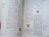 Knyga 1992m. Lietuvos raudonoji knyga - nuotraukos Nr. 7
