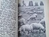 Knyga 1984m. Šeimos kalendorius 1985 - nuotraukos Nr. 3