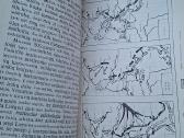 Knyga 1989m. Klaipėdos problema - nuotraukos Nr. 8