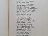 "Savu keliu" 1923m A Sabaliauskas - nuotraukos Nr. 6
