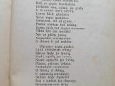 "Savu keliu" 1923m A Sabaliauskas - nuotraukos Nr. 10