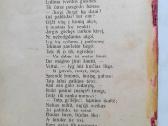 "Savu keliu" 1923m A Sabaliauskas - nuotraukos Nr. 11