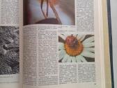 Fotografija enciklopedinis katalogas 1992m - nuotraukos Nr. 3
