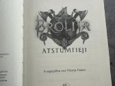 Knyga Brolija.atstumtieji - nuotraukos Nr. 2