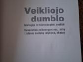 Veikliojo dumblo analizė - nuotraukos Nr. 2