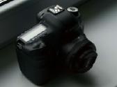Canon EOS 5D Mark III + Canon Ef 50mm f/1.8 Stm - nuotraukos Nr. 4
