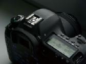 Canon EOS 5D Mark III + Canon Ef 50mm f/1.8 Stm - nuotraukos Nr. 5