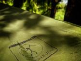 Tentas Bushmen Easy Tarp 4x3m- green - nuotraukos Nr. 3