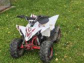 Keturatis 110cc - nuotraukos Nr. 5
