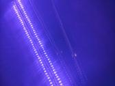 Neoninės LED lempos patalpai (renginiams) - nuotraukos Nr. 5