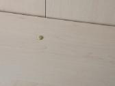 Pastatoma/pakabinama spintelė - nuotraukos Nr. 5