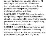 Mercedes-benz galinio buferio difuzoriaus spoileri - nuotraukos Nr. 5