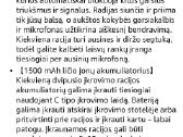 Baofeng racijos,3 komplektai po 2 vnt - nuotraukos Nr. 4