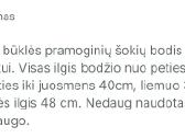 Pramoginių šokių bodys - nuotraukos Nr. 6