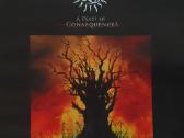 Keletas CD - nuotraukos Nr. 9