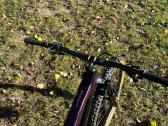Bulls Wild Creed RS 29 - nuotraukos Nr. 6