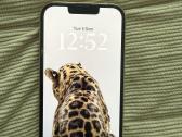 Puikios būklės iPhone 13 Pro - nuotraukos Nr. 9
