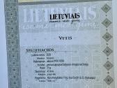 Kolekcinis paauksuotas medalis - nuotraukos Nr. 3