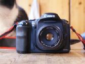 Canon EOS 10d - nuotraukos Nr. 6