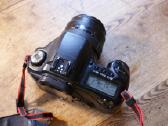 Canon EOS 10d - nuotraukos Nr. 15