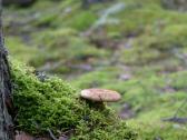 Canon EOS 10d - nuotraukos Nr. 25