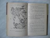 E. Salola - Kvailių kaimas - nuotraukos Nr. 2