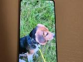 Samsung s21 ultra 5G - nuotraukos Nr. 3