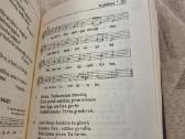 Liturginis giesnynas - nuotraukos Nr. 6