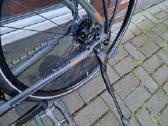 Raleigh ir Carver - nuotraukos Nr. 11