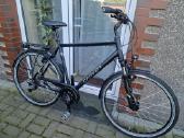 Raleigh ir Carver - nuotraukos Nr. 14