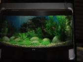 Panoraminis 200ltr lenktas akvariumas - nuotraukos Nr. 2
