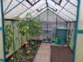 Atiduodu šiltnamį 43 - nuotraukos Nr. 2