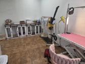 Ieškome Groomer Klaipėdos Centre! (Nuoma) - nuotraukos Nr. 2