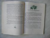 E. Šimkūnaitė- Girios medeliai , žali žaliuonėliai - nuotraukos Nr. 2