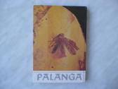Palanga 1989m - nuotraukos Nr. 6