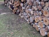 Malkos beržinės , eglinės , pušinės,.juodalksnio. - nuotraukos Nr. 4