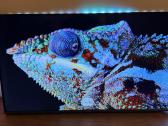Philips 55pus7906/12 Android TV 4k Ambilight - nuotraukos Nr. 5