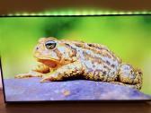 Philips 55pus7906/12 Android TV 4k Ambilight - nuotraukos Nr. 6