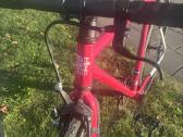 State 4130 52cm Fixed, Single speed, Fixas, Fix - nuotraukos Nr. 2