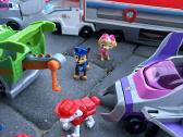 Paw patrol + svenas ledo šalis - nuotraukos Nr. 9