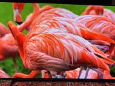 Sony Xr65a83j Oled televizorius - nuotraukos Nr. 3