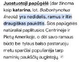 Juostuotoji papūga. - nuotraukos Nr. 4