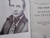 A. Mackevičius. 1863-1864 metų sukilimo reikšmė - nuotraukos Nr. 2