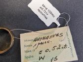 Auksinis žiedas su deimantu 4,76gr 16,5 dydis - nuotraukos Nr. 6