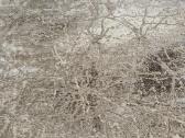Naujas turkiškas kilimas "Marmuras" - nuotraukos Nr. 10