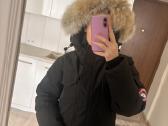 Canada goose - nuotraukos Nr. 3